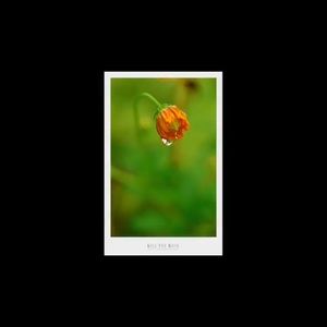 Meet your Posher, Mai